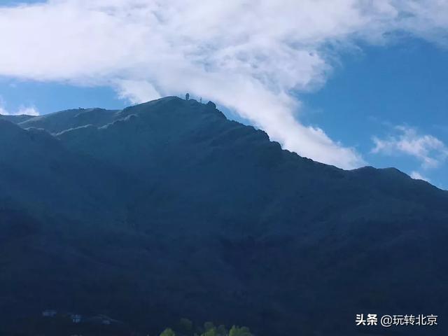 北京天山(北京天山股份有限公司)