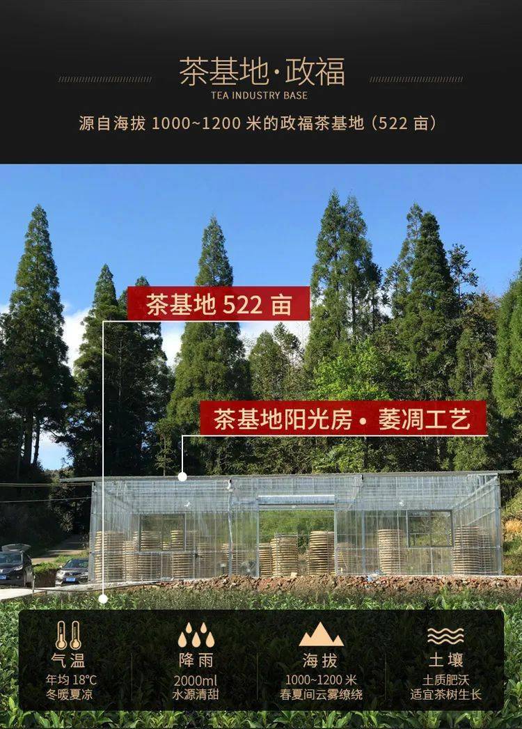 福建祥龙集团(福建祥龙集团股份有限公司)