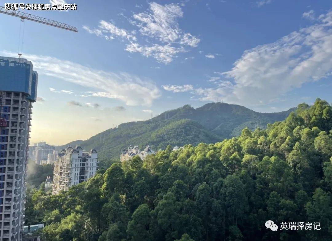 深圳沙河医院(深圳沙河医院是公立还是私立)